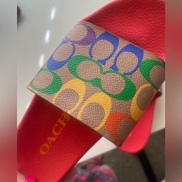 Rainbow Coach slides - Picture 3 of 6